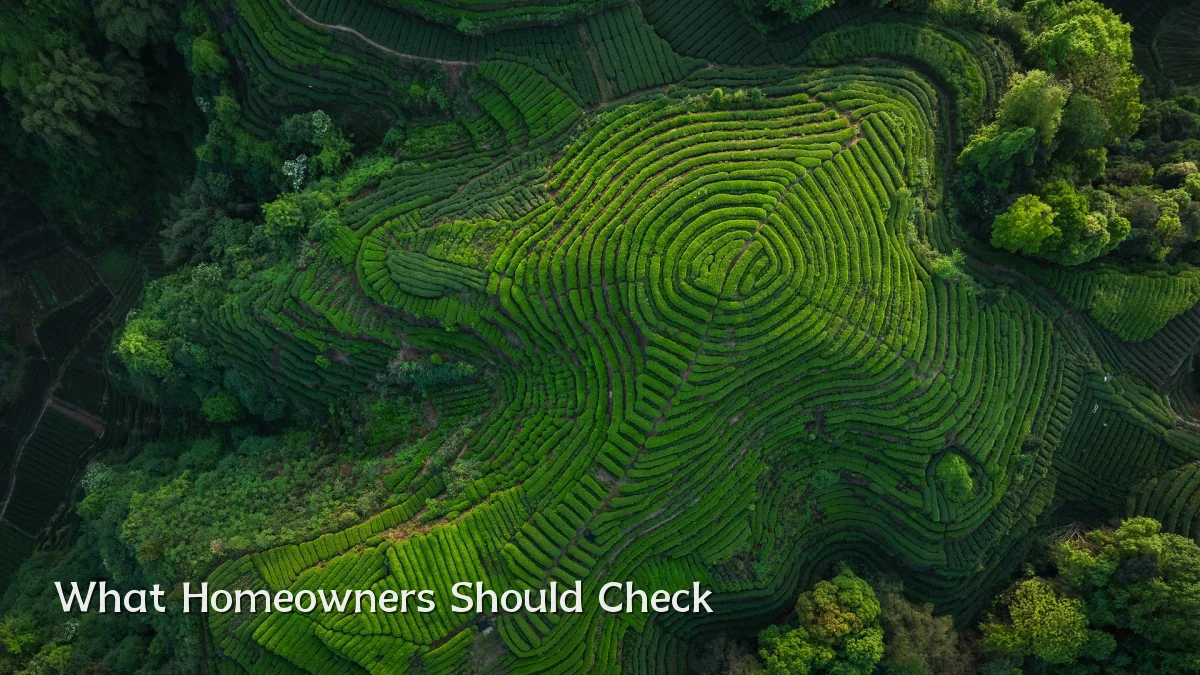 What Homeowners Should Check