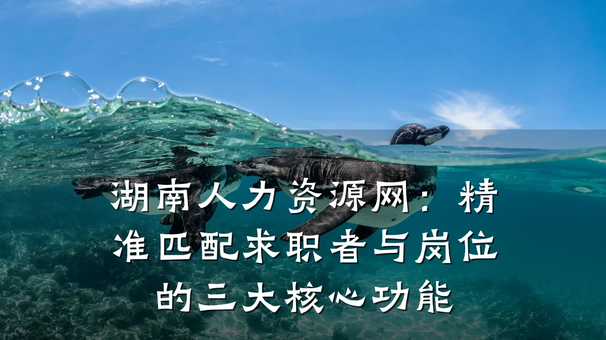 湖南人力资源网:精准匹配求职者与岗位的三大核心功能