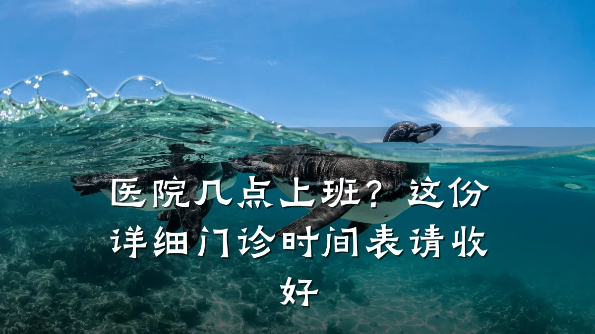 医院几点上班?这份详细门诊时间表请收好
