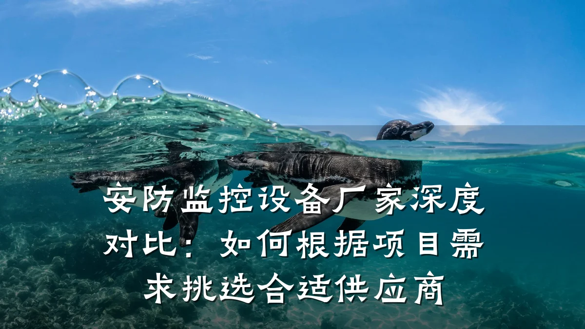 安防监控设备厂家深度对比:如何根据项目需求挑选合适供应商