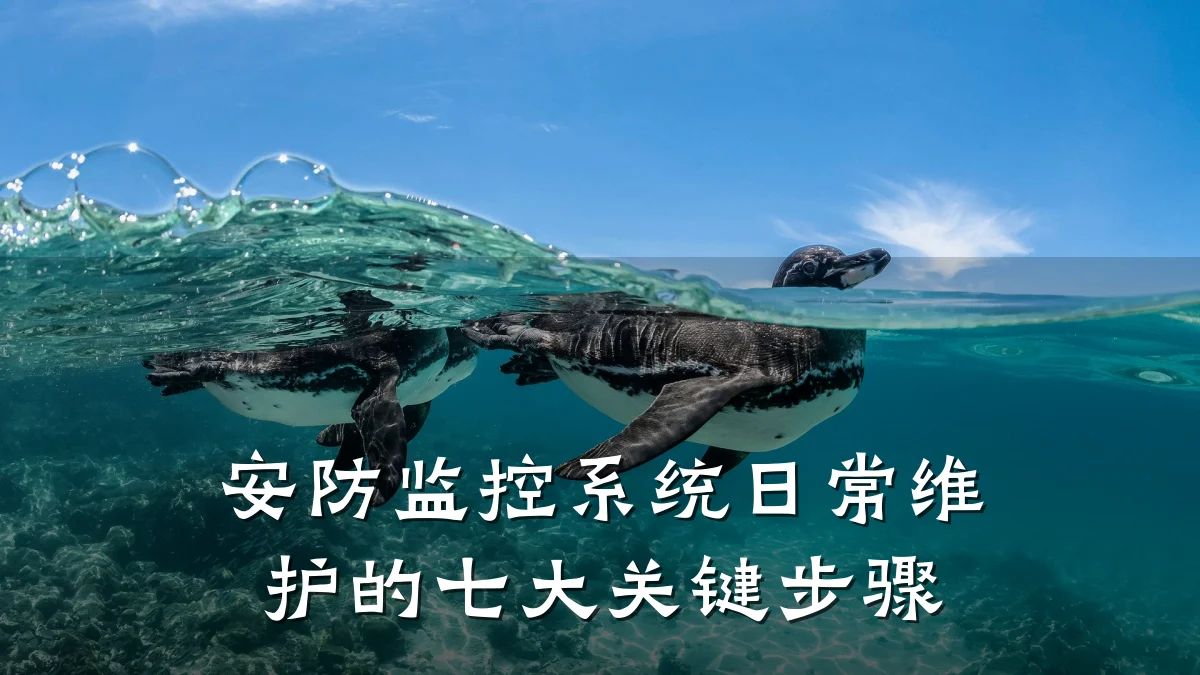 安防监控系统日常维护的七大关键步骤