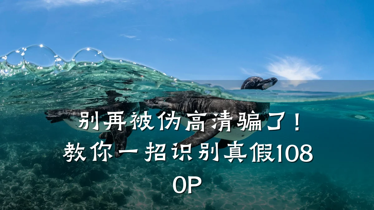 别再被伪高清骗了!教你一招识别真假1080P