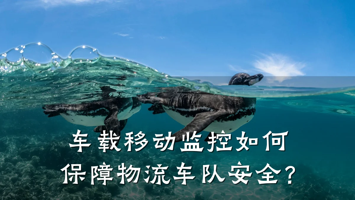 车载移动监控如何保障物流车队安全?