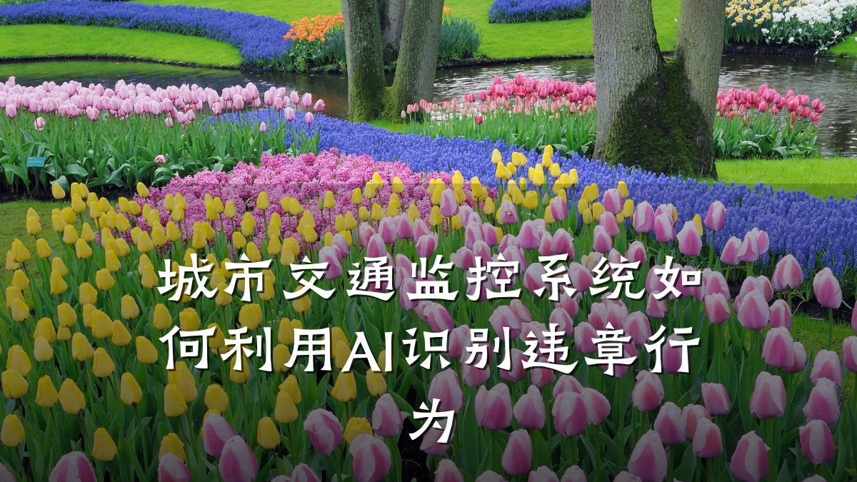 城市交通监控系统如何利用AI识别违章行为