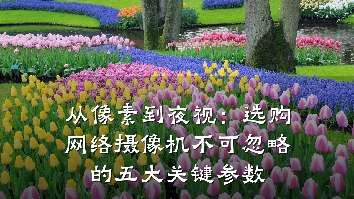 从像素到夜视:选购网络摄像机不可忽略的五大关键参数