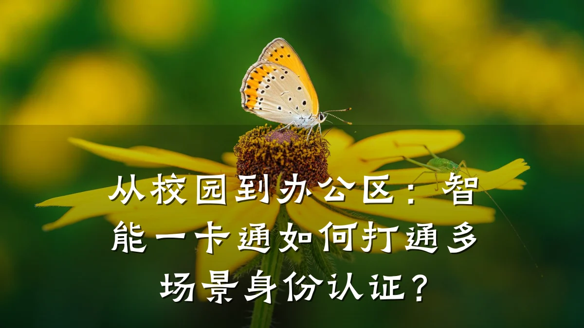 从校园到办公区:智能一卡通如何打通多场景身份认证?