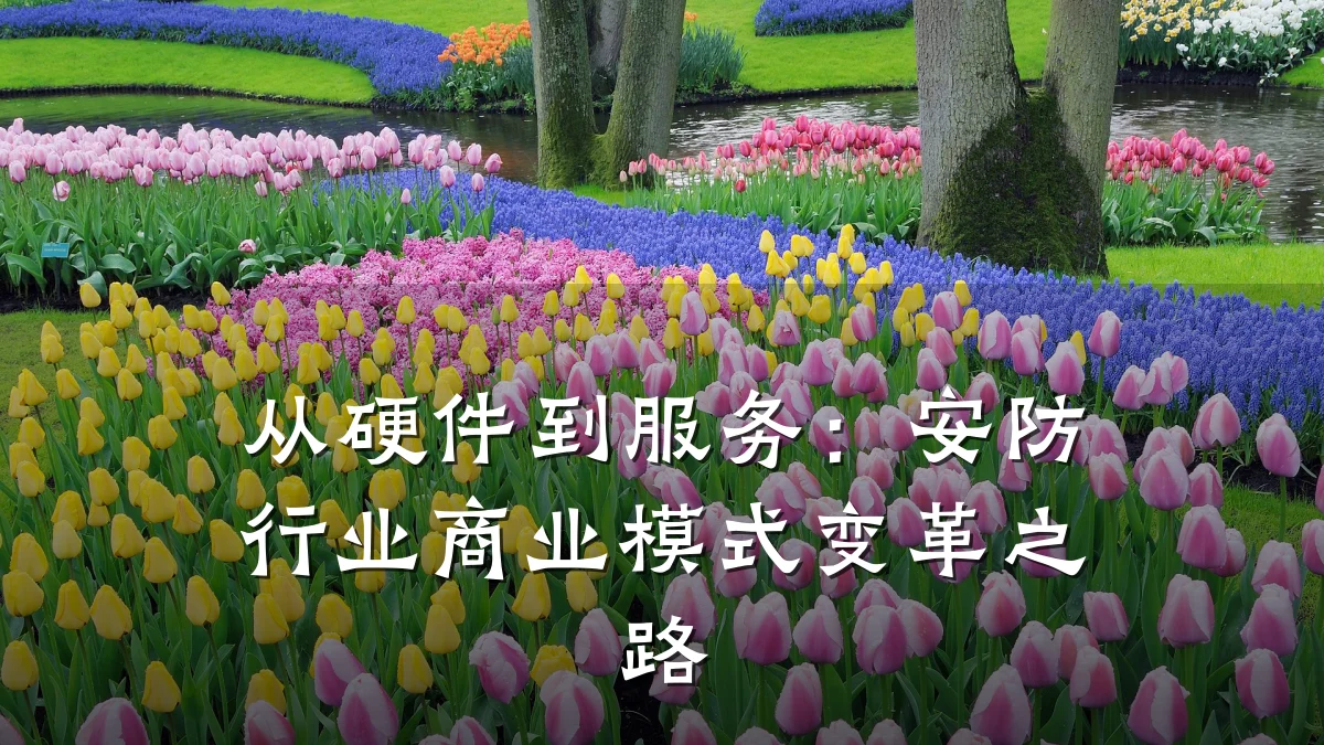 从硬件到服务:安防行业商业模式变革之路