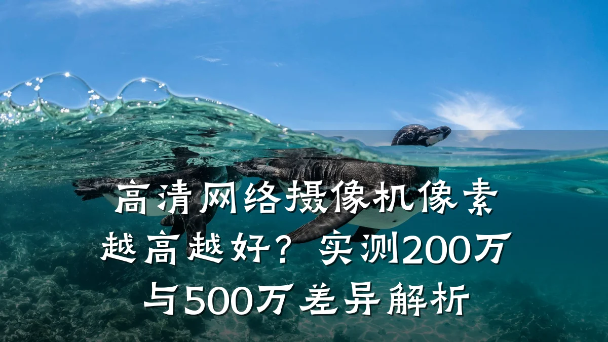 高清网络摄像机像素越高越好?实测200万与500万差异解析