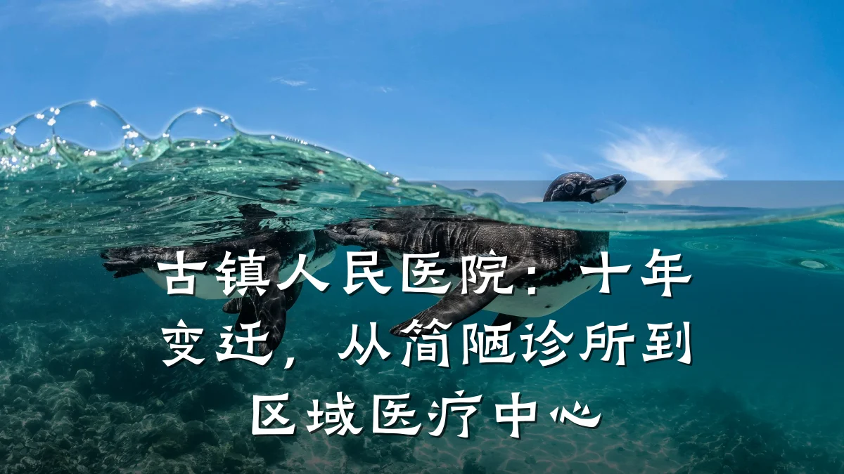古镇人民医院:十年变迁,从简陋诊所到区域医疗中心