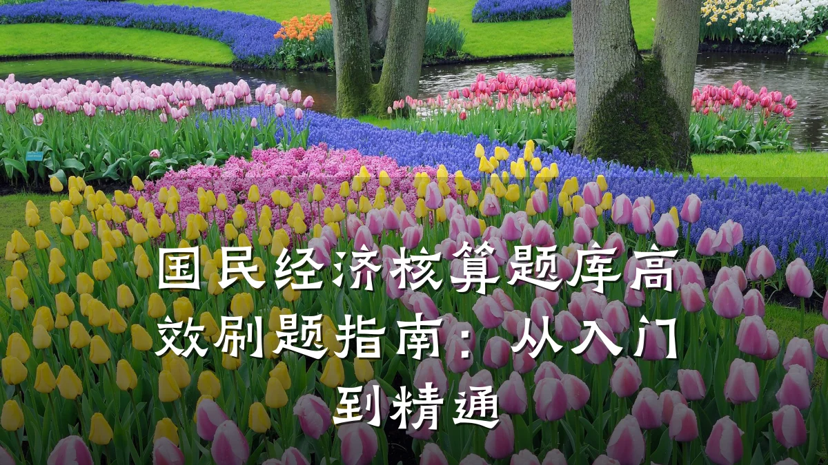国民经济核算题库高效刷题指南:从入门到精通