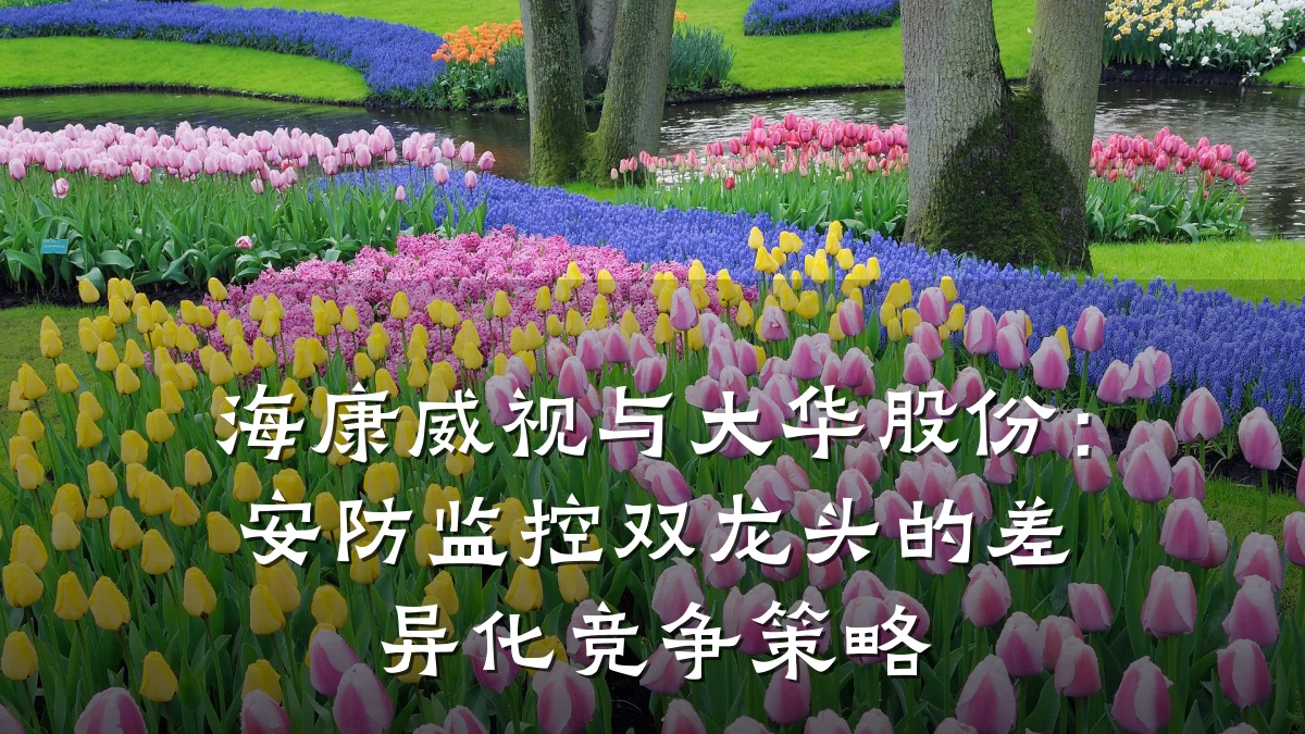 海康威视与大华股份:安防监控双龙头的差异化竞争策略