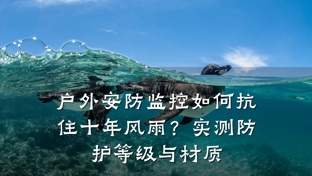 户外安防监控如何抗住十年风雨?实测防护等级与材质