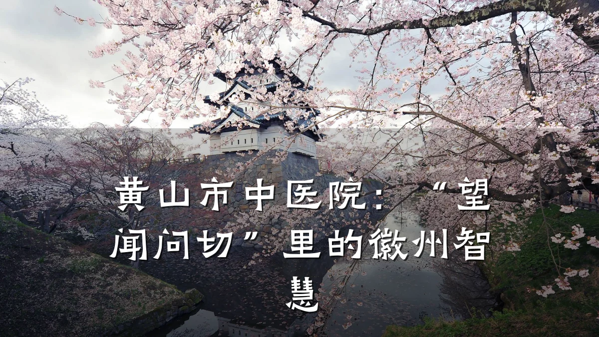 黄山市中医院:“望闻问切”里的徽州智慧