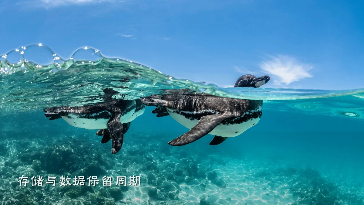 存储与数据保留周期