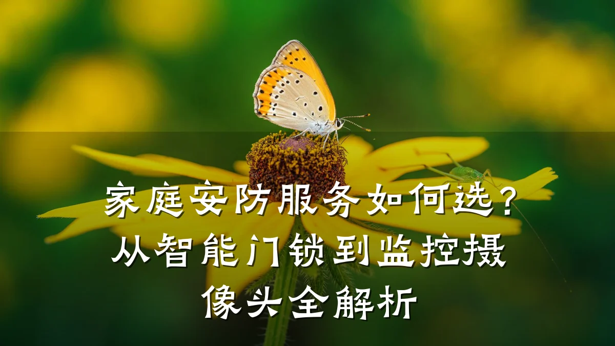 家庭安防服务如何选?从智能门锁到监控摄像头全解析