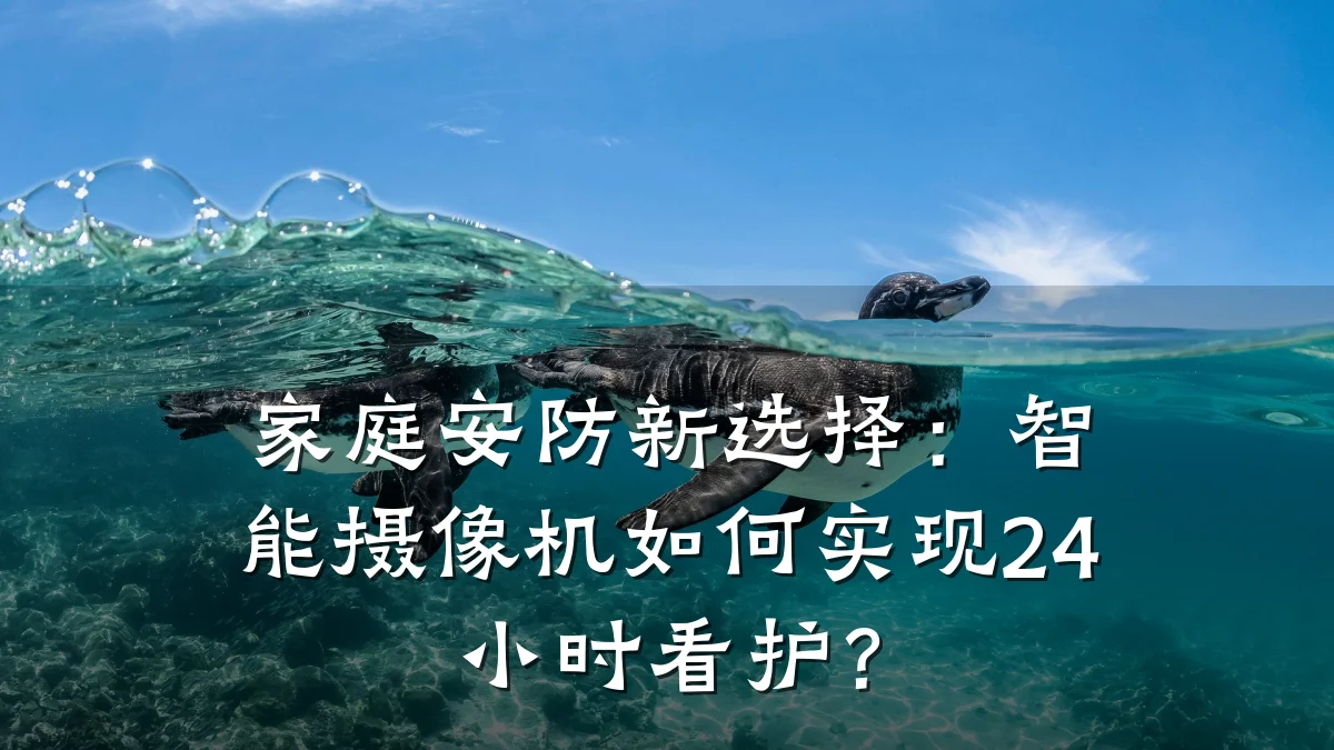 家庭安防新选择:智能摄像机如何实现24小时看护?