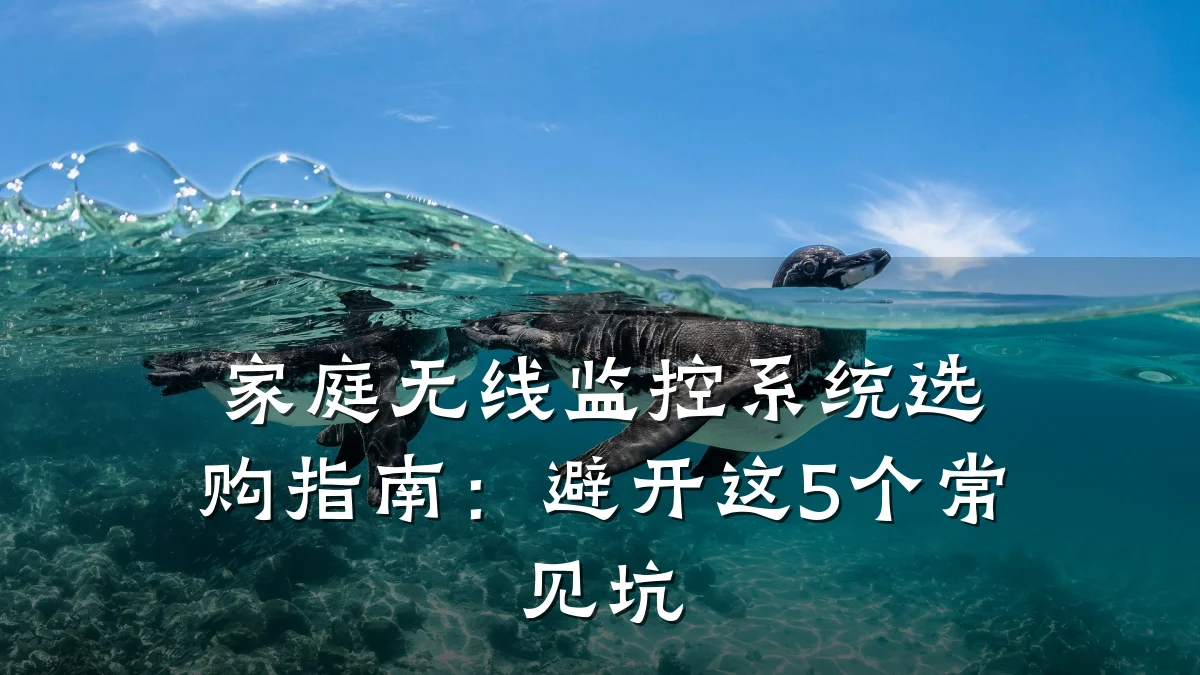 家庭无线监控系统选购指南：避开这5个常见坑