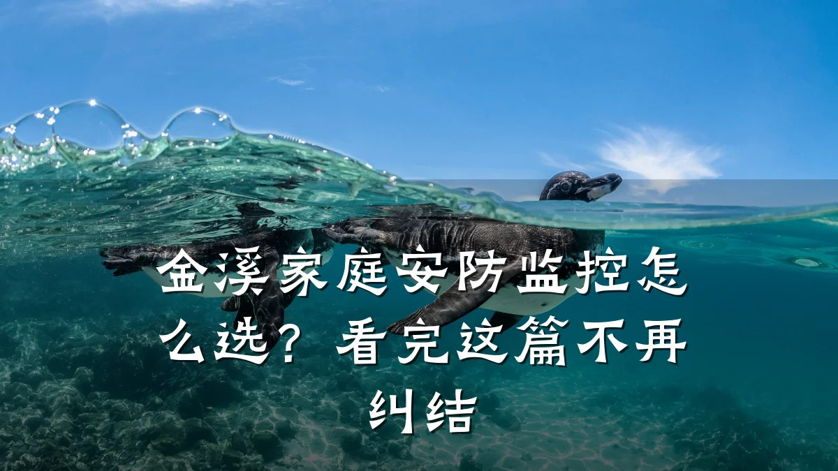 金溪家庭安防监控怎么选?看完这篇不再纠结