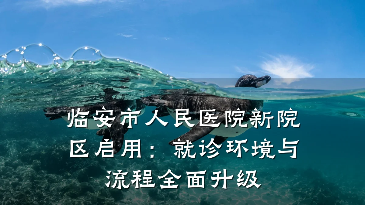 临安市人民医院新院区启用：就诊环境与流程全面升级