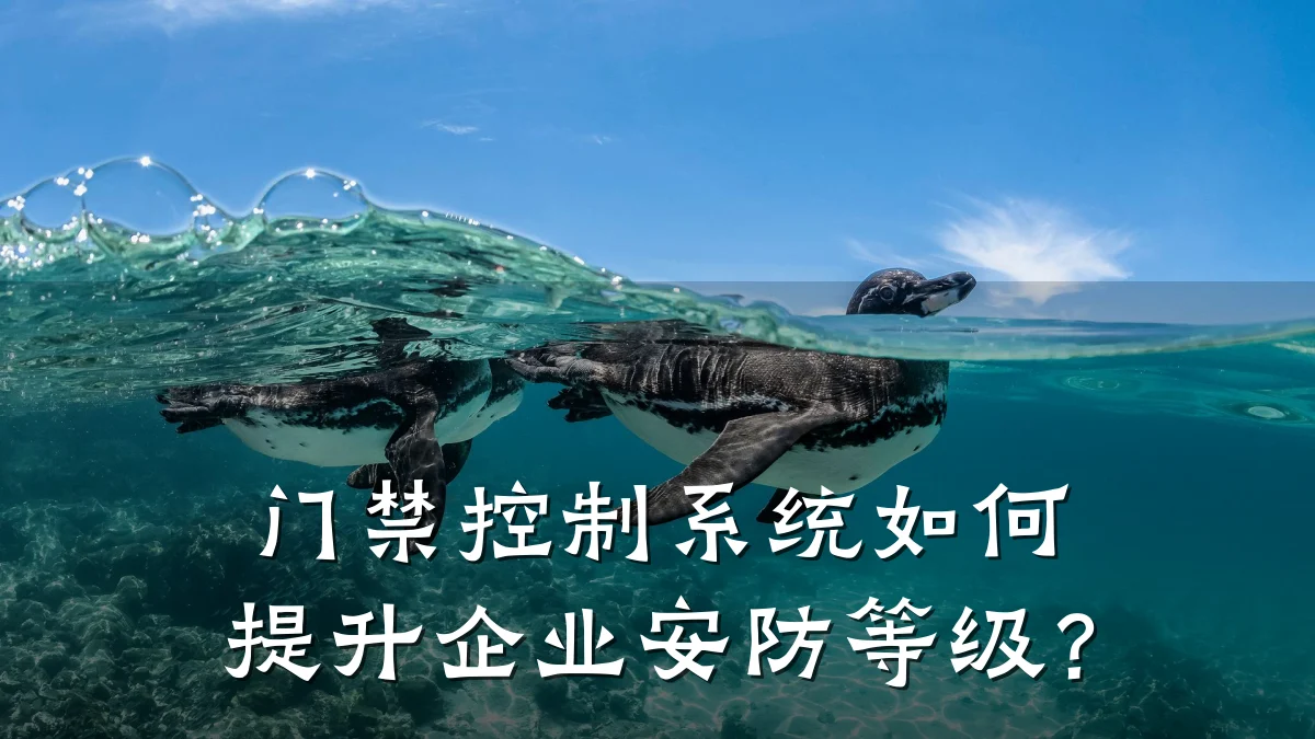门禁控制系统如何提升企业安防等级?
