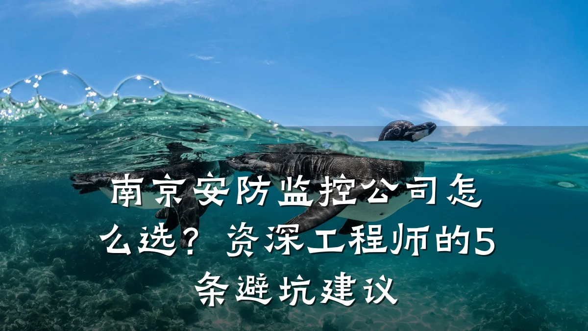 南京安防监控公司怎么选?资深工程师的5条避坑建议