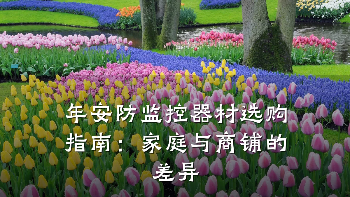 年安防监控器材选购指南:家庭与商铺的差异