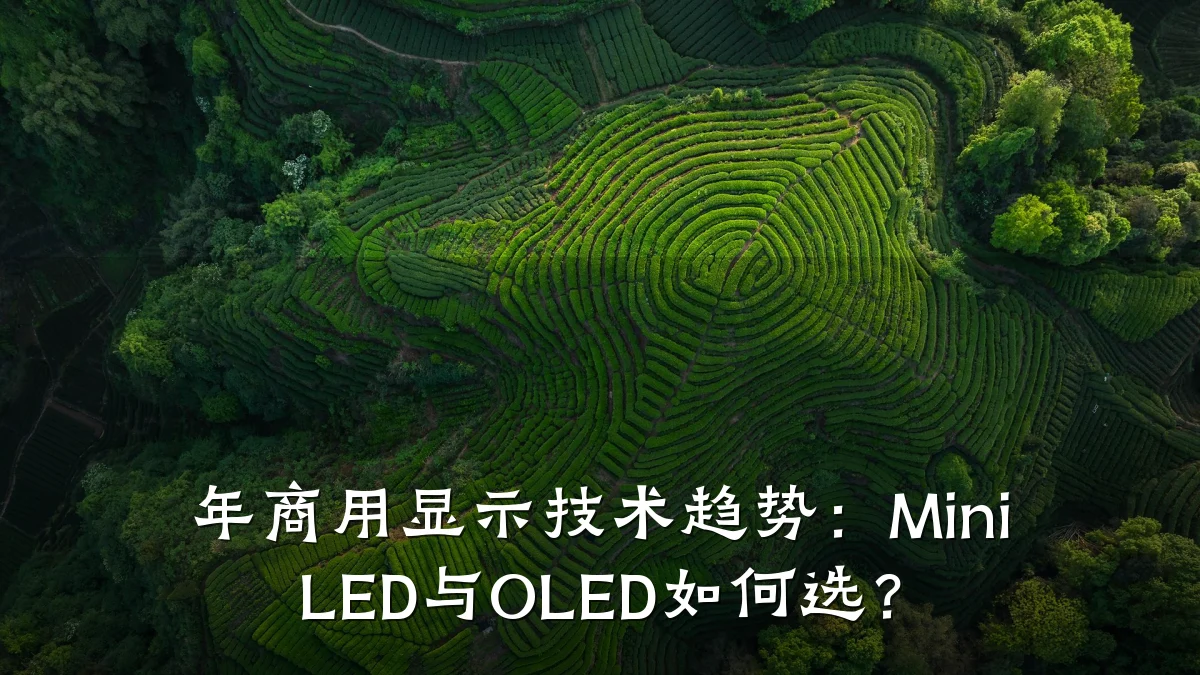 年商用显示技术趋势:Mini LED与OLED如何选?