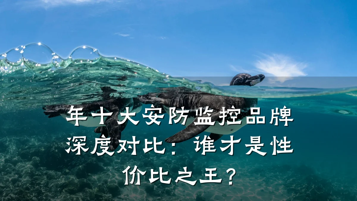 年十大安防监控品牌深度对比:谁才是性价比之王?