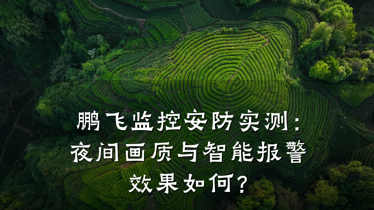 鹏飞监控安防实测:夜间画质与智能报警效果如何?