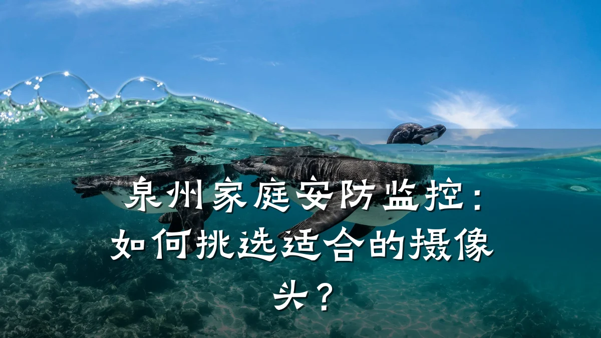 泉州家庭安防监控:如何挑选适合的摄像头?