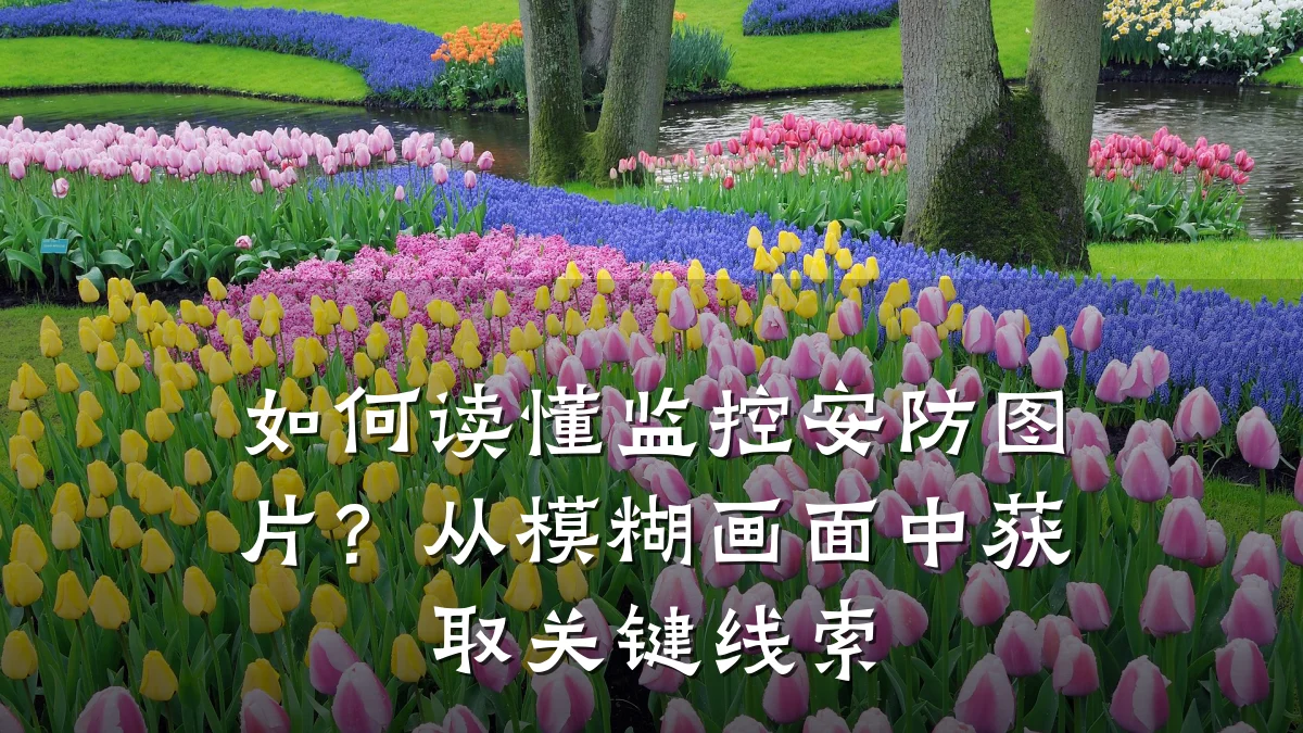 如何读懂监控安防图片?从模糊画面中获取关键线索