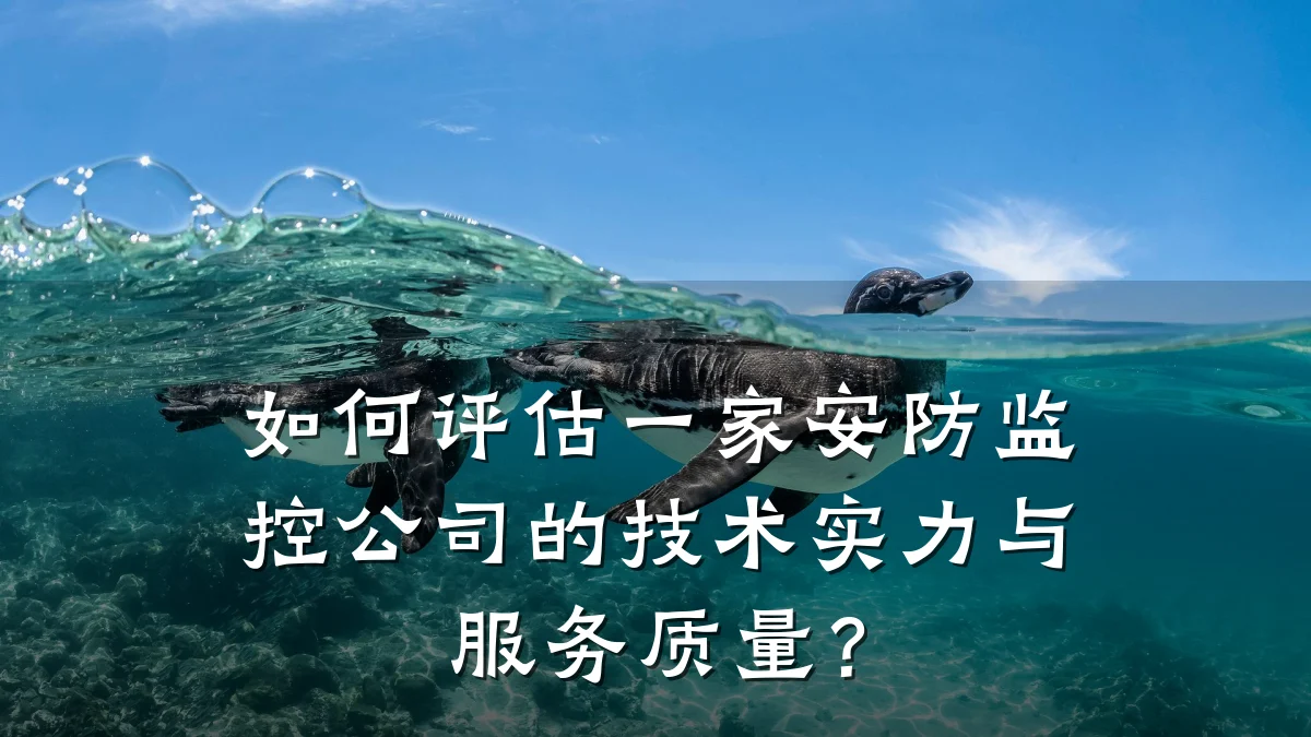 如何评估一家安防监控公司的技术实力与服务质量?
