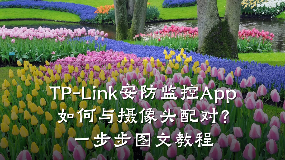 TP-Link安防监控App如何与摄像头配对?一步步图文教程
