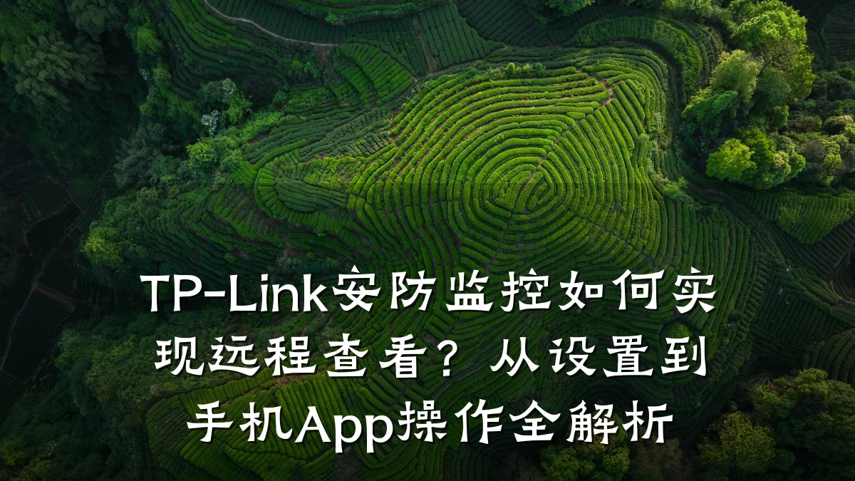 TP-Link安防监控如何实现远程查看?从设置到手机App操作全解析
