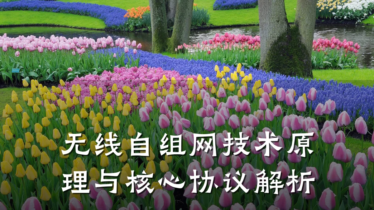 无线自组网技术原理与核心协议解析