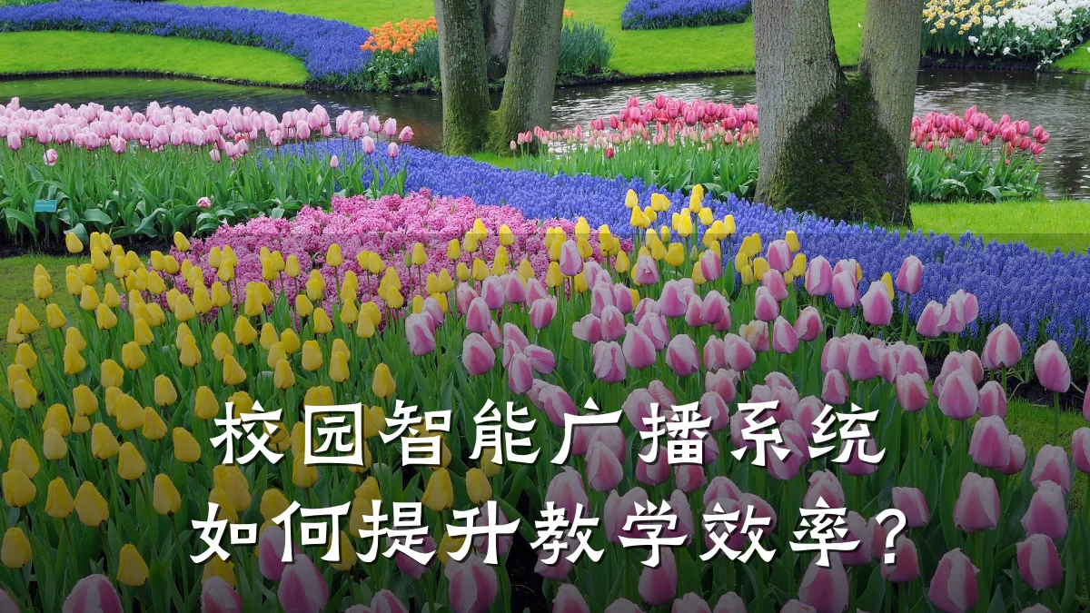 校园智能广播系统如何提升教学效率?