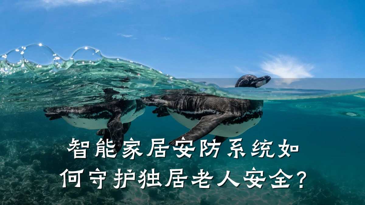 智能家居安防系统如何守护独居老人安全?