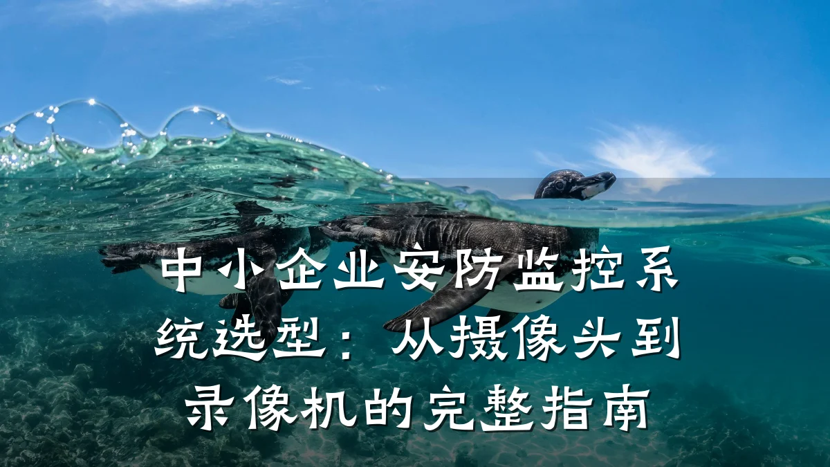 中小企业安防监控系统选型:从摄像头到录像机的完整指南