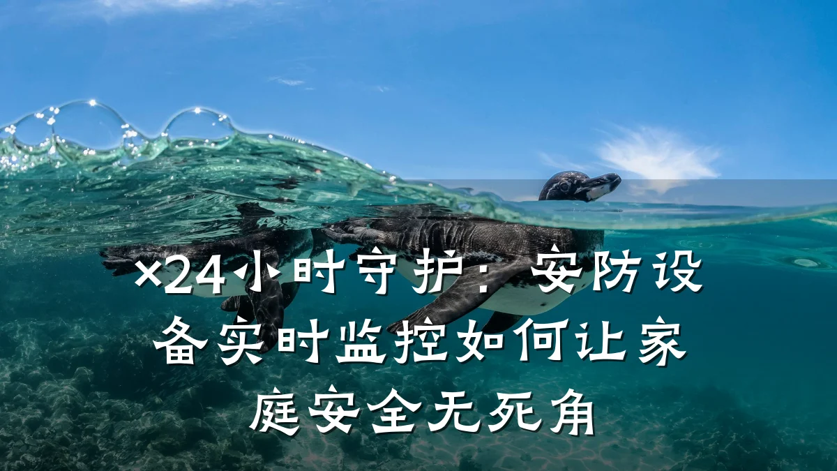 ×24小时守护:安防设备实时监控如何让家庭安全无死角
