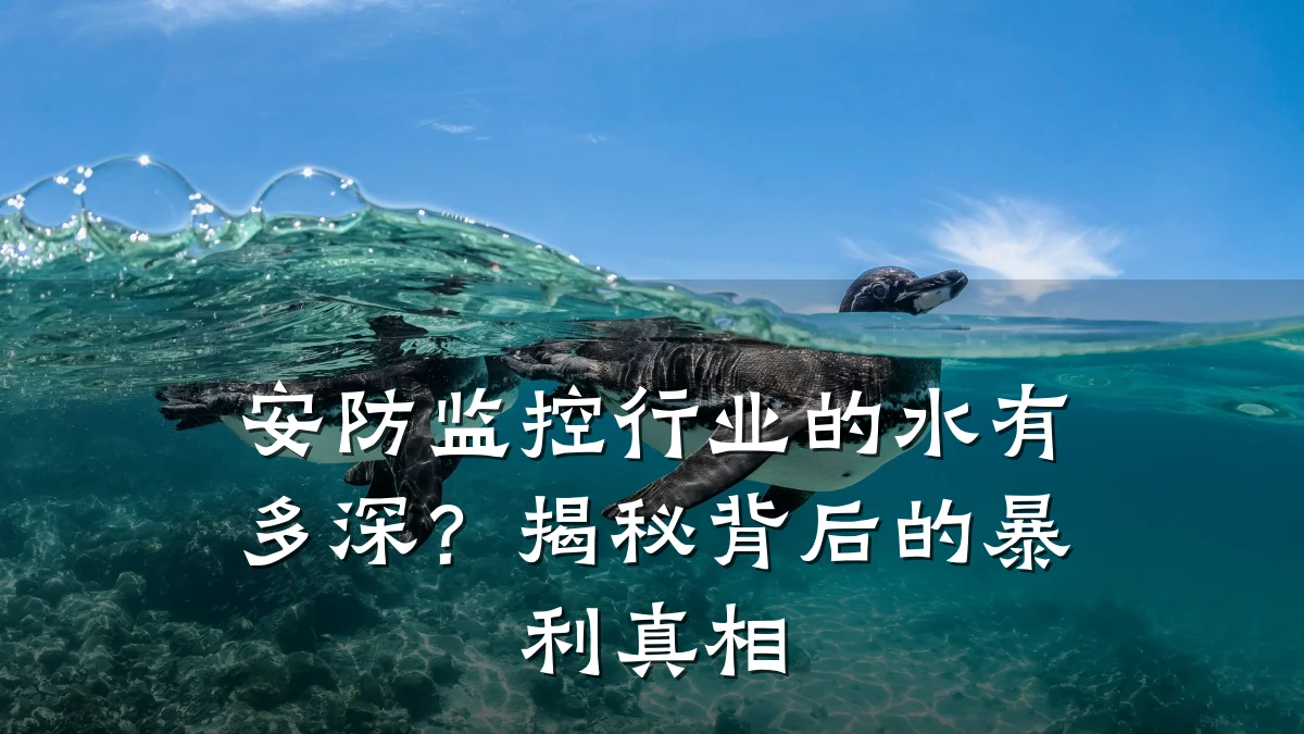 安防监控行业的水有多深？揭秘背后的暴利真相