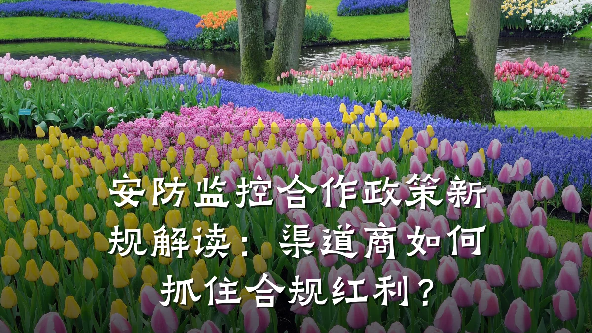 安防监控合作政策新规解读:渠道商如何抓住合规红利?