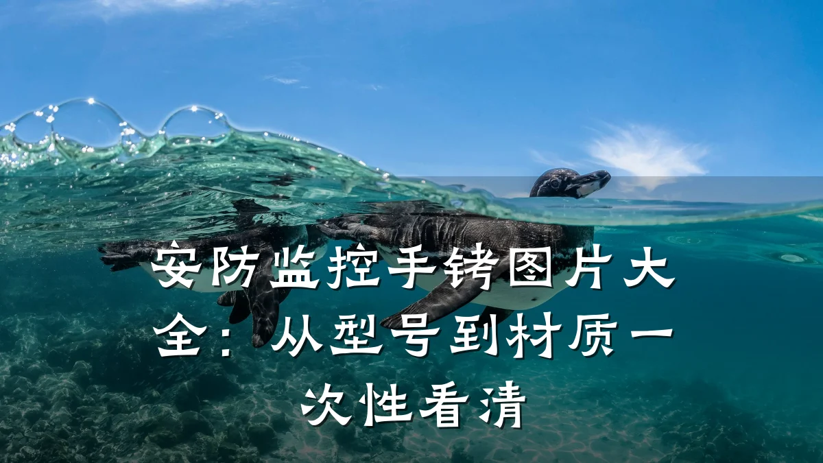 安防监控手铐图片大全:从型号到材质一次性看清
