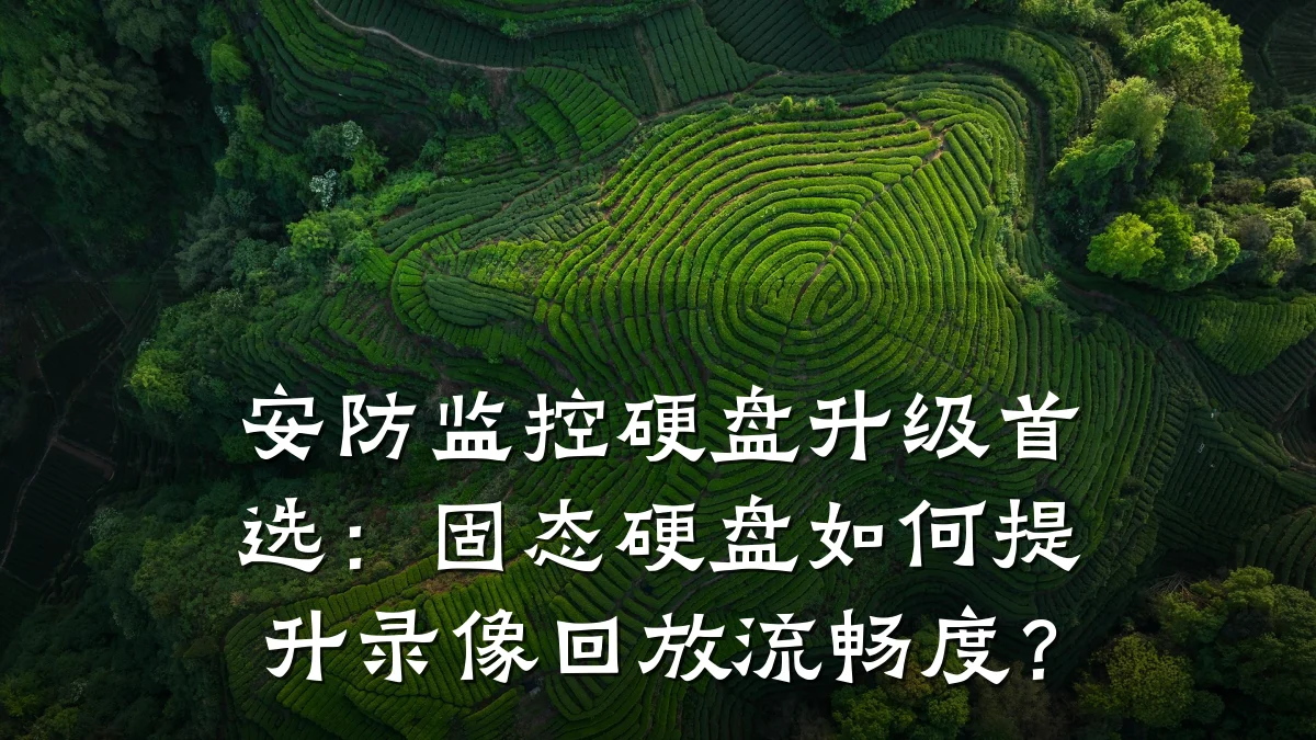 安防监控硬盘升级首选：固态硬盘如何提升录像回放流畅度？