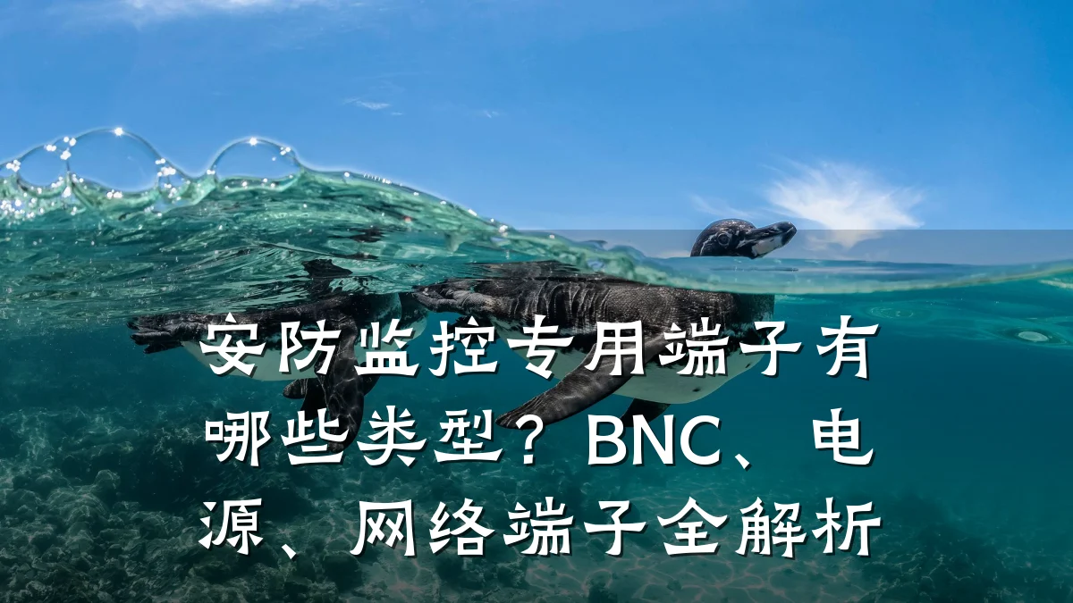 安防监控专用端子有哪些类型?BNC、电源、网络端子全解析