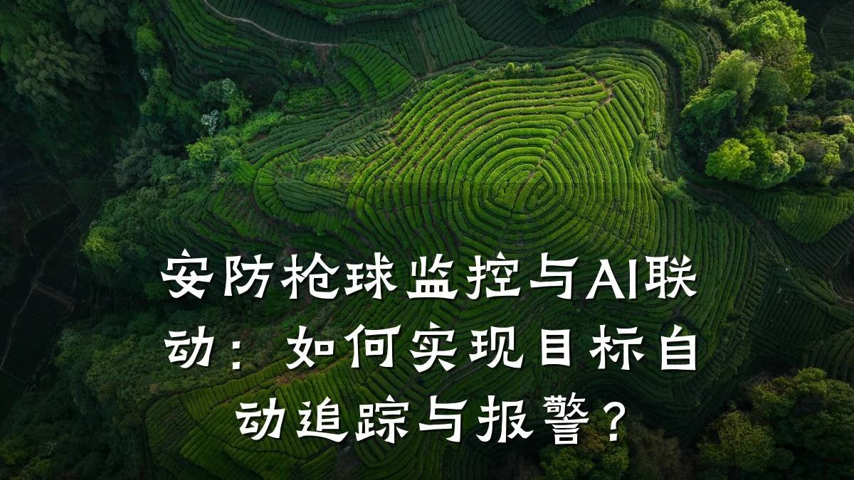安防枪球监控与AI联动:如何实现目标自动追踪与报警?