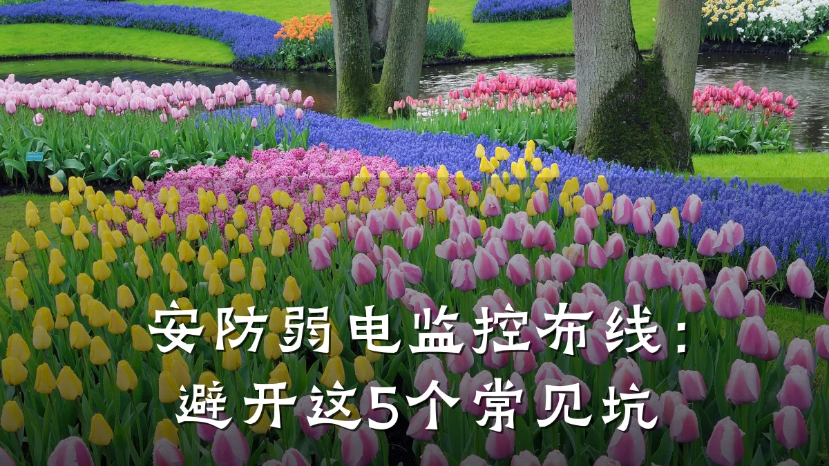 安防弱电监控布线:避开这5个常见坑