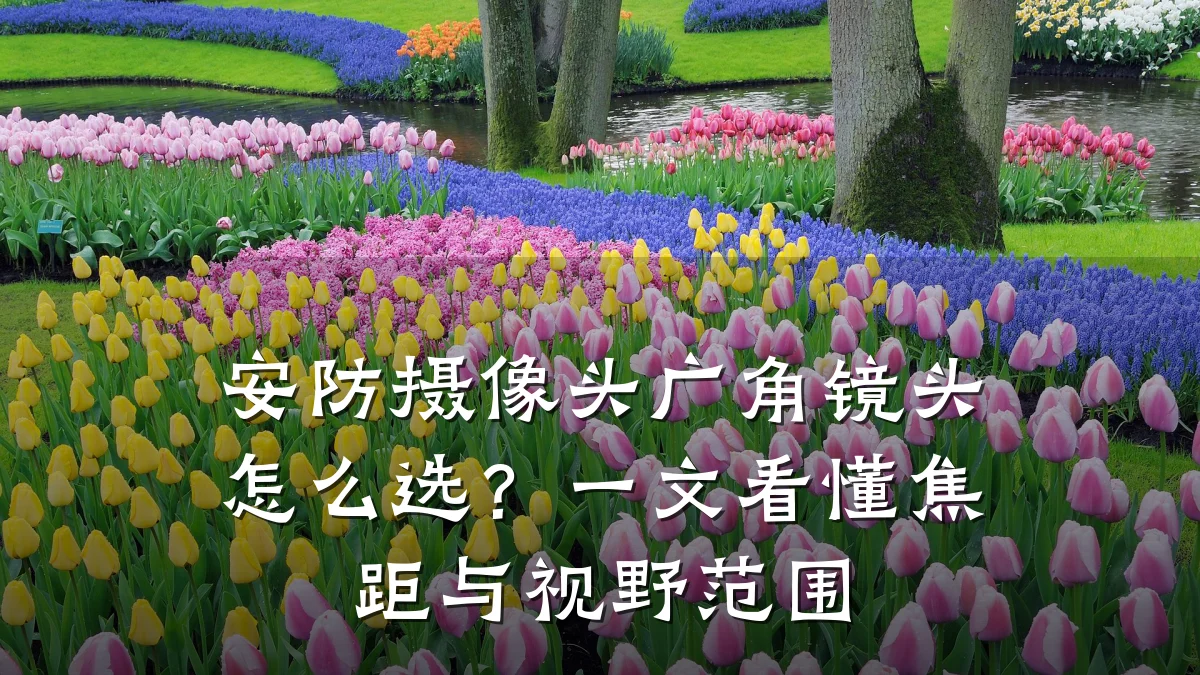 安防摄像头广角镜头怎么选?一文看懂焦距与视野范围