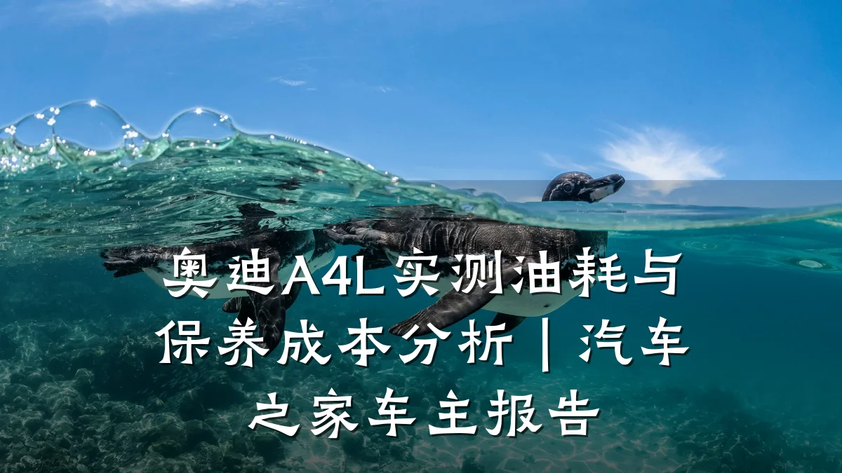 奥迪A4L实测油耗与保养成本分析|汽车之家车主报告