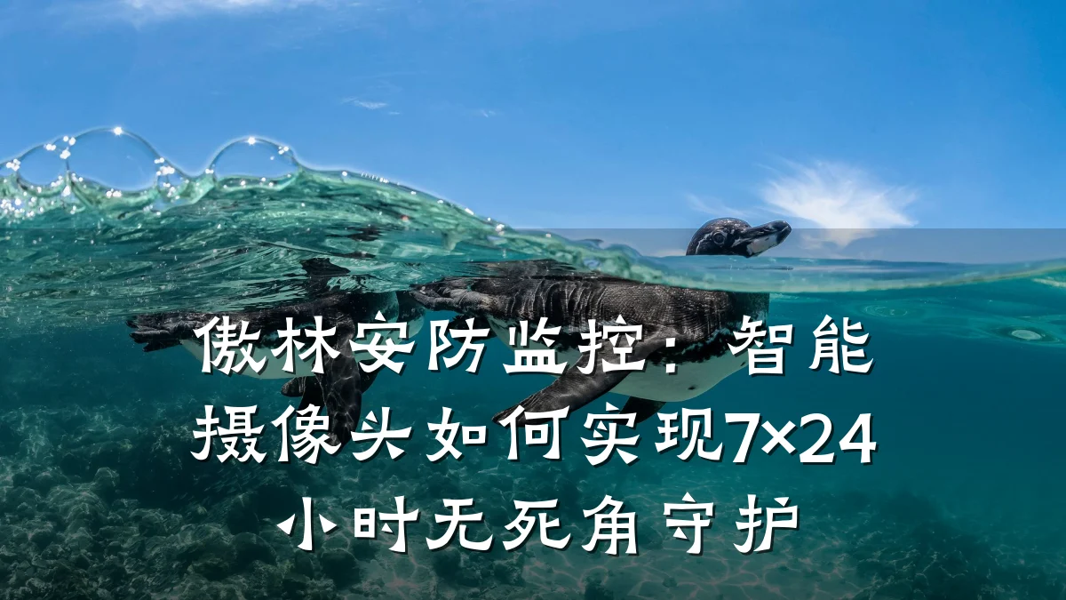 傲林安防监控：智能摄像头如何实现7×24小时无死角守护