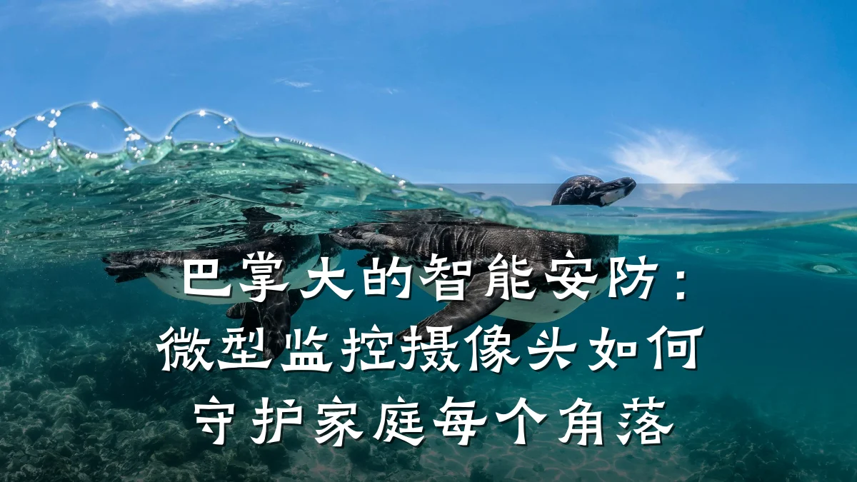巴掌大的智能安防:微型监控摄像头如何守护家庭每个角落